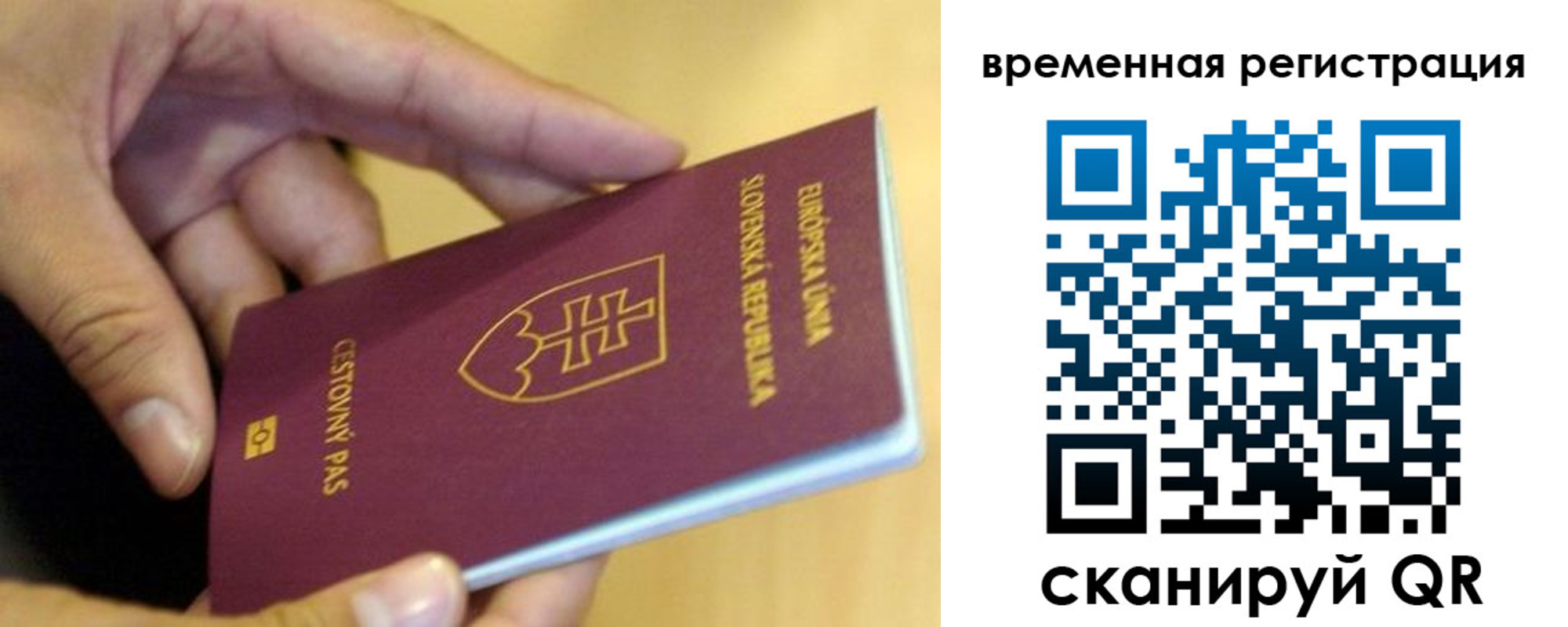 временная регистрация купить в Павловске